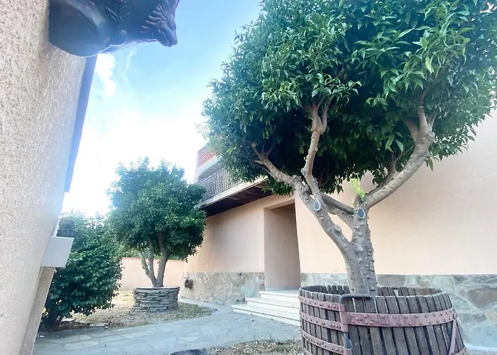 L'artmonie - Climatise - Jardin - Centre-ville - * Perpignan